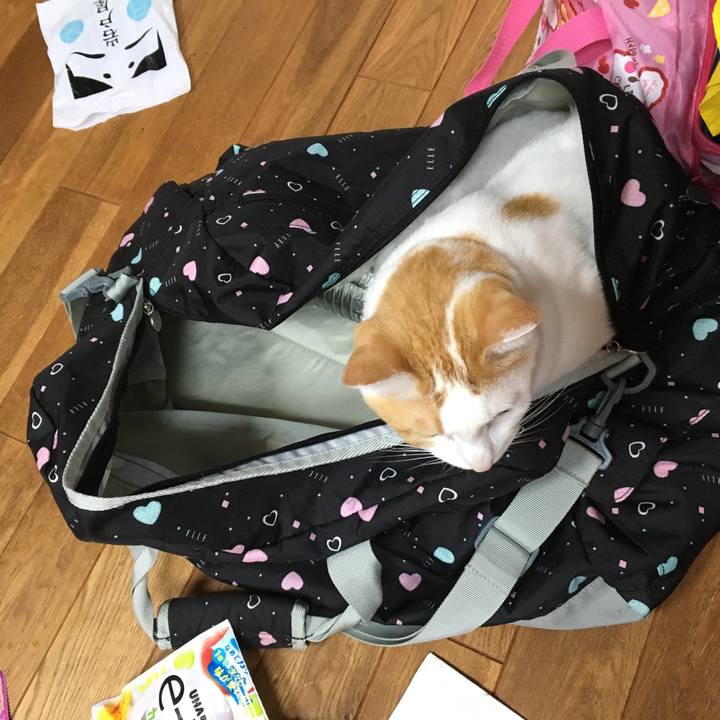 Bc2bb481 3aba 4a8c 8d91 0e89bf40a8d6