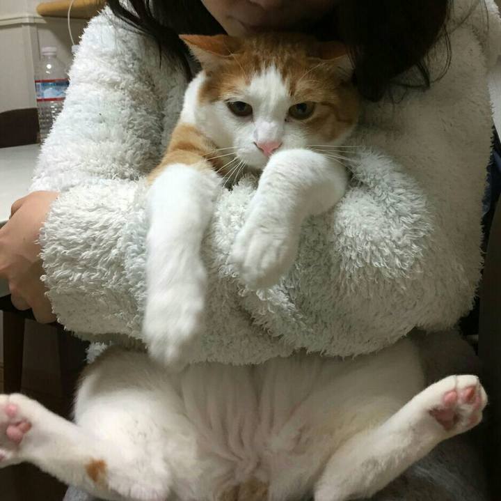 Bc2c167b de22 484e 83b1 db0c45cd44e5