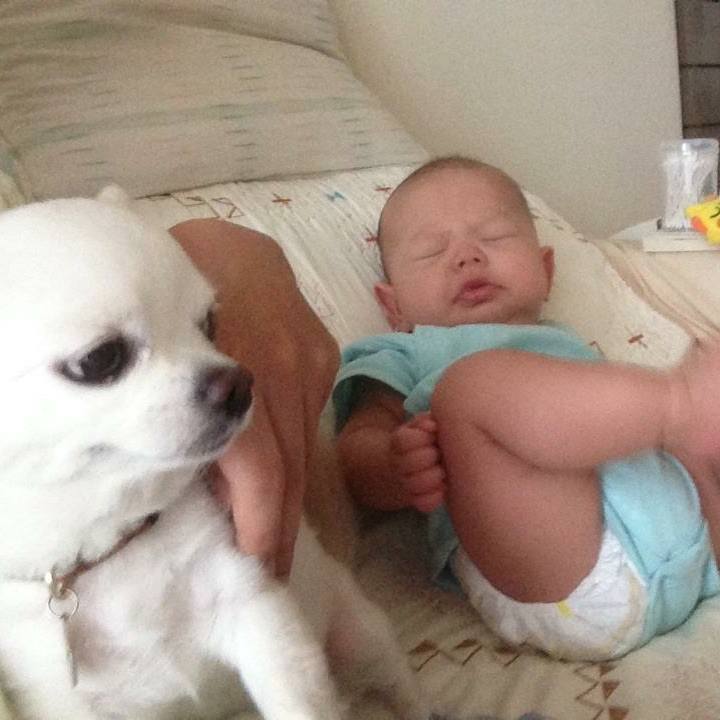 Bc2c9c04 8cac 44fa bad3 6f685c5ff1a1