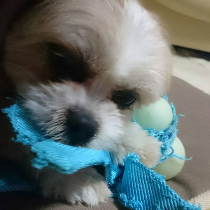 Bc2caf6a 6b14 4d75 9977 d8be1ac5f6a8