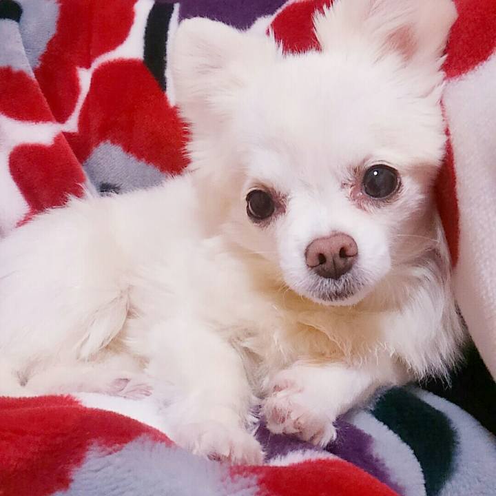 Bc2de64f c35d 493b a88f 19d75ada21f1