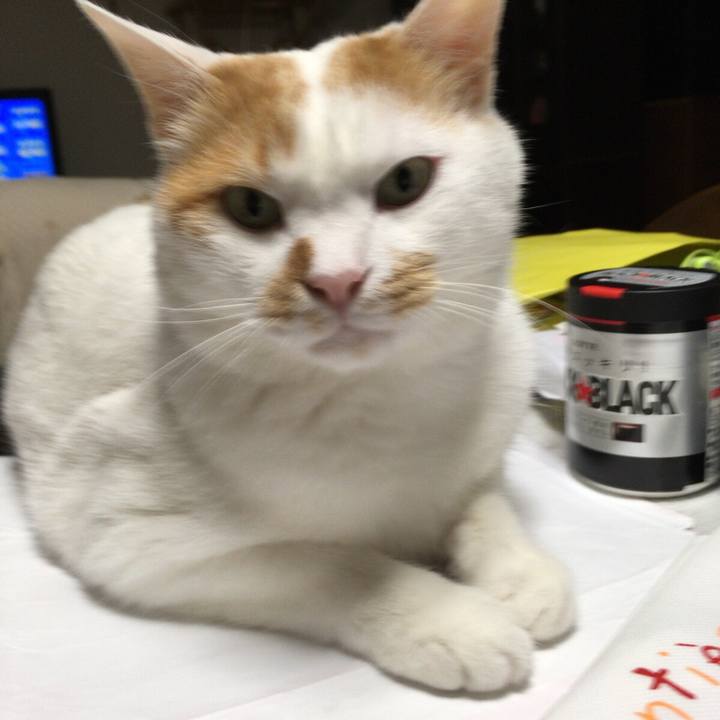 Bc2dee29 3e4b 4973 b3d2 b21fe4275487