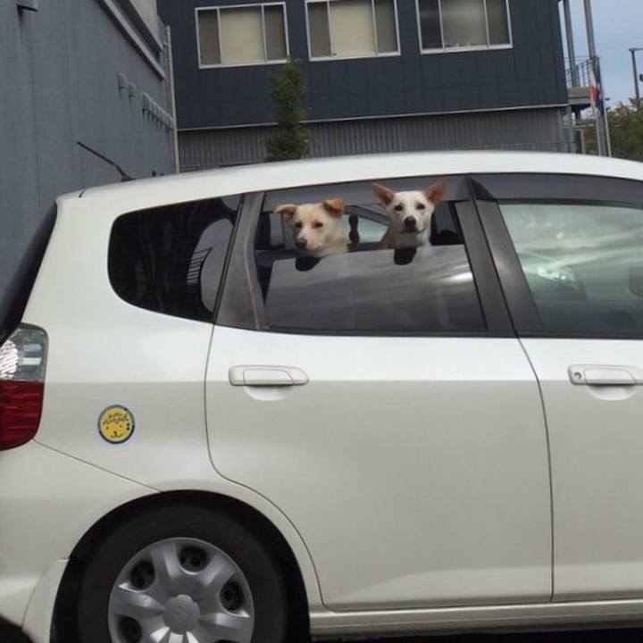 Bc2e6bc2 125e 49de 9def f75268a3e777