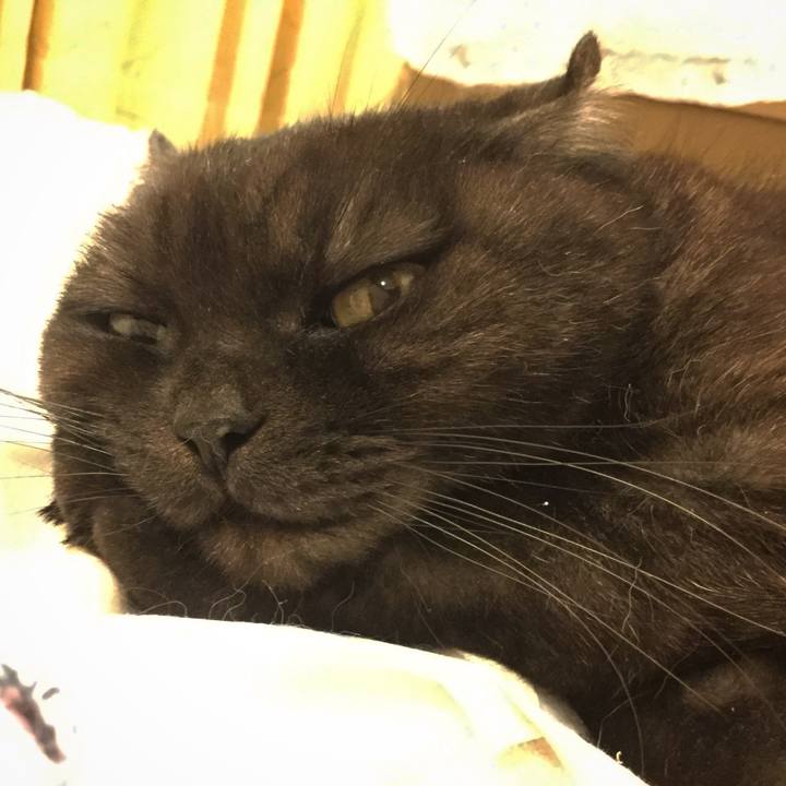 Bc2e76a3 8f9e 4772 a12b 8a3cf561a551