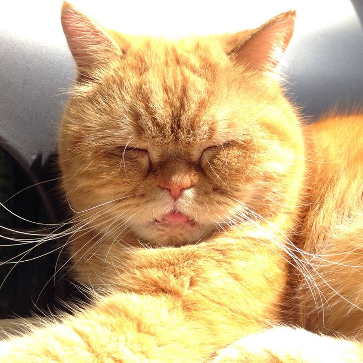 Bc2e8ee7 8a87 4d4c 95bb aac5a3c044fc