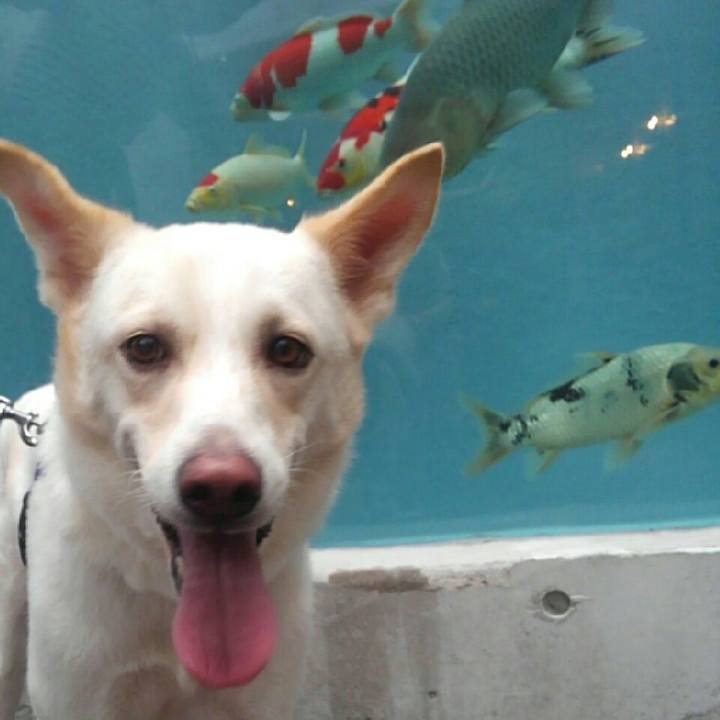 Bc2ede51 3a22 4d47 8dd9 89a8cb85917d