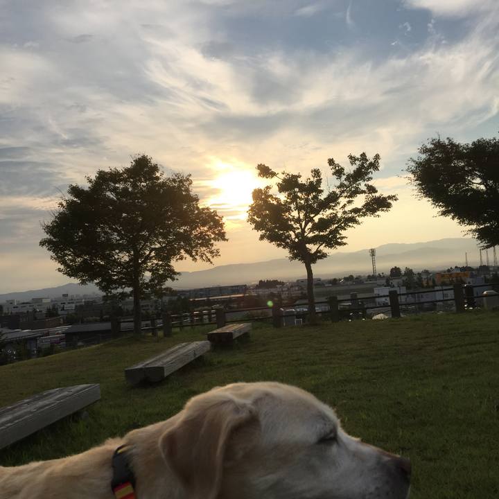 Bc2f05b7 6d03 45dc 9488 5408fe60dcc6