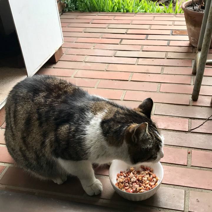 Bc2f548c 31b5 4ab2 8cc3 b16eee0fe885