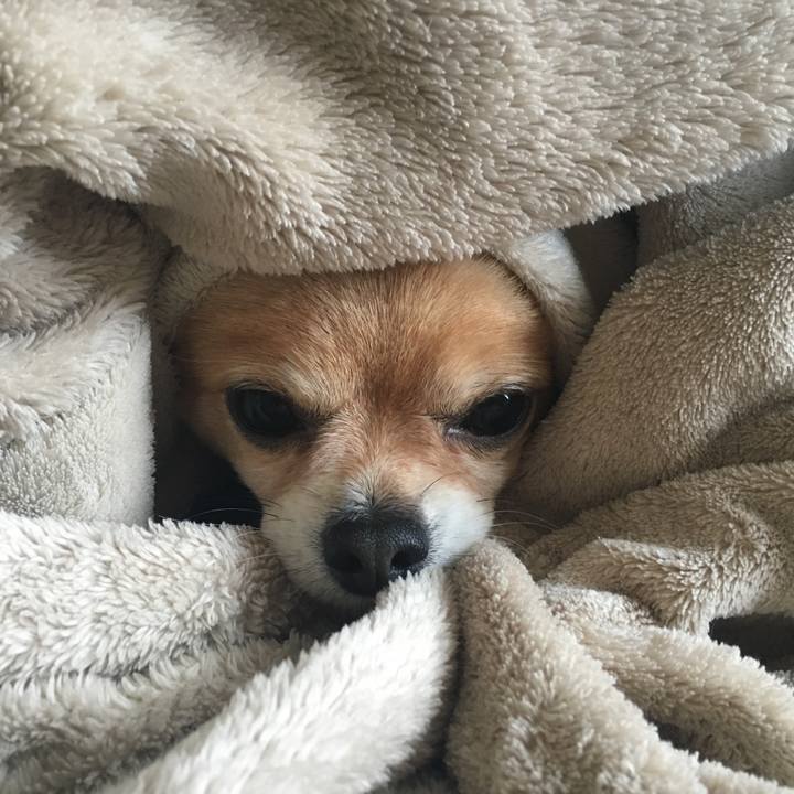 Bc2f6945 4a14 4b88 8bd0 83bea318c5f9