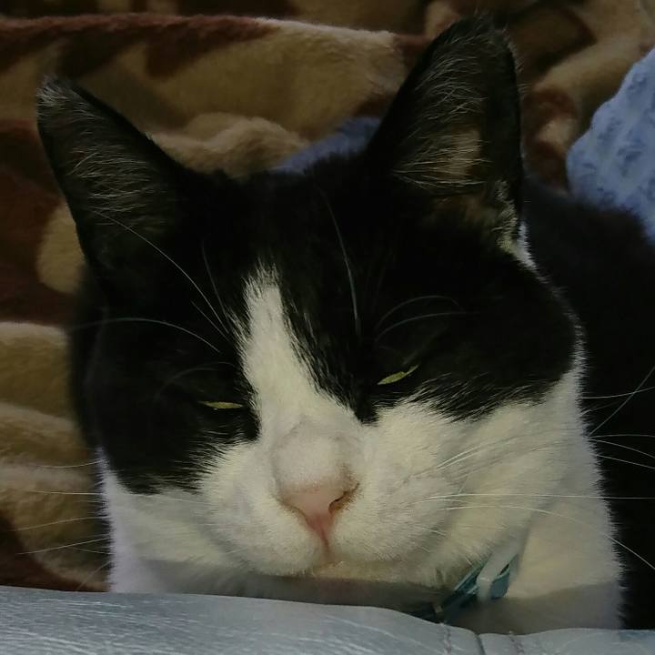 Bc30315a 0f93 4819 85c0 a9c989e2d0df