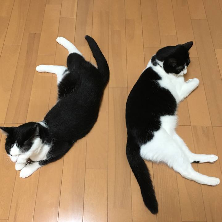 Bc3086f1 73af 49ff ad28 f00000e83ee0