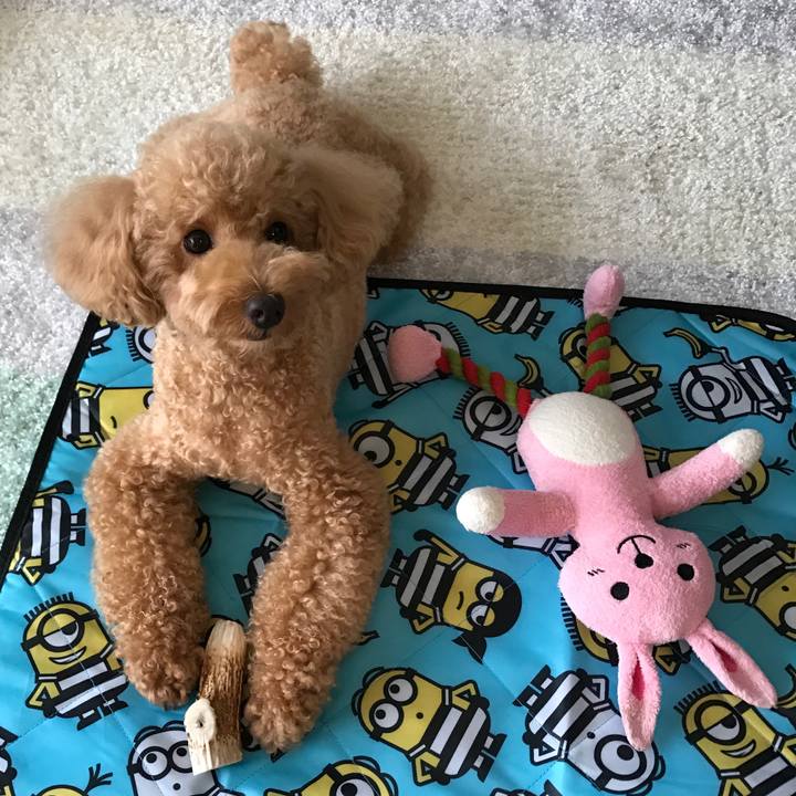 Bc30e4b2 5376 4e71 9c13 ff10eccfb460