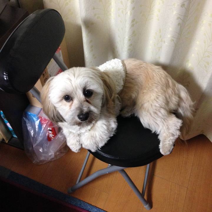 Bc321848 ebfe 4f5d 855b fd05c9a4ea0a