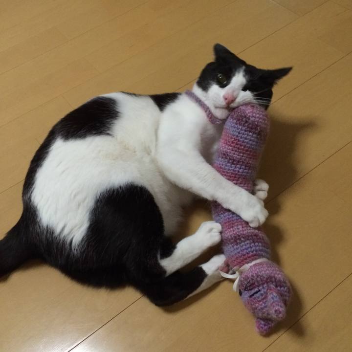 Bc32880c a40e 46b3 b947 873adf73b3c8