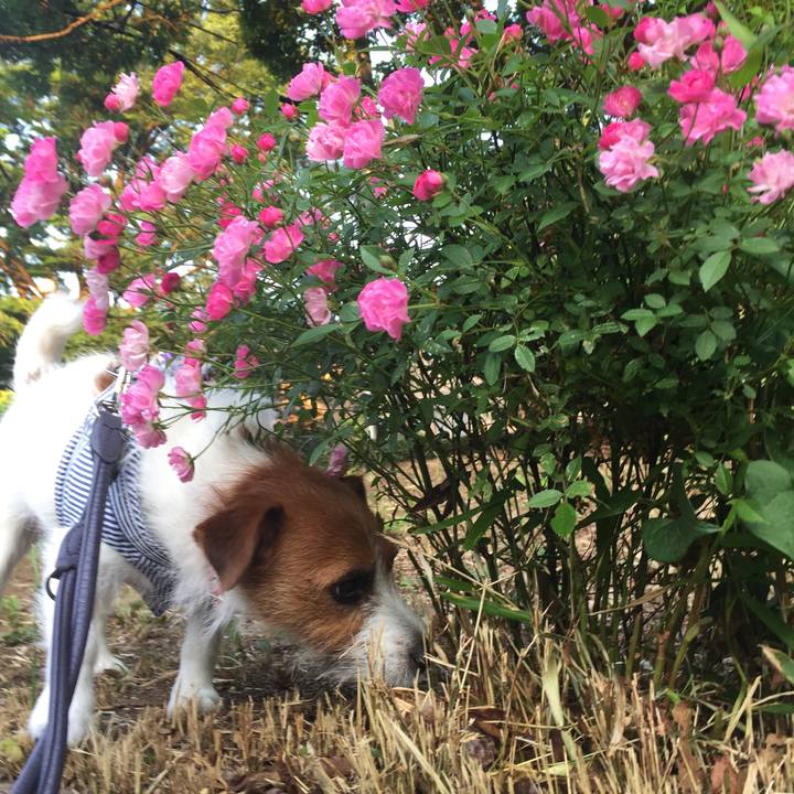 Bc32e5cc e5e7 4970 a038 e01d5aa34291