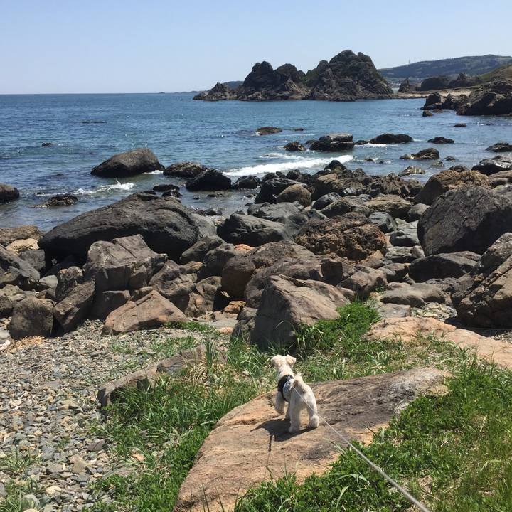 Bc33c540 aba1 45dc af10 2d581db923cc