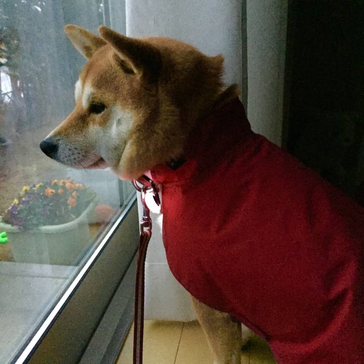 Bc33ef83 e498 4aee bc00 427c2d012fea