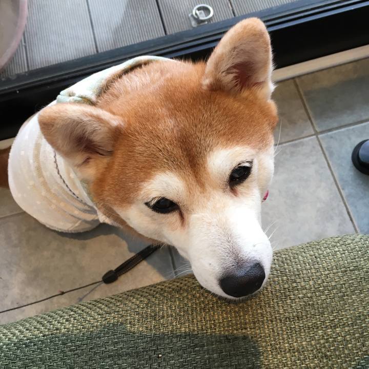 Bc34618d 99e5 4c94 897c e7ac930ed615