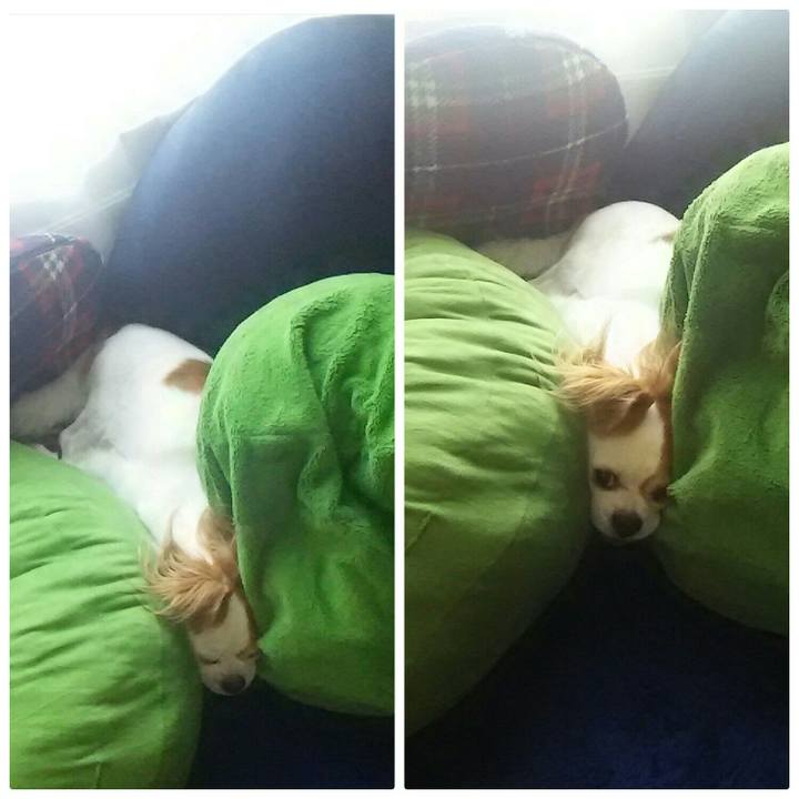 Bc34abdc 5a4d 4649 ac9e 44c375e9ae38