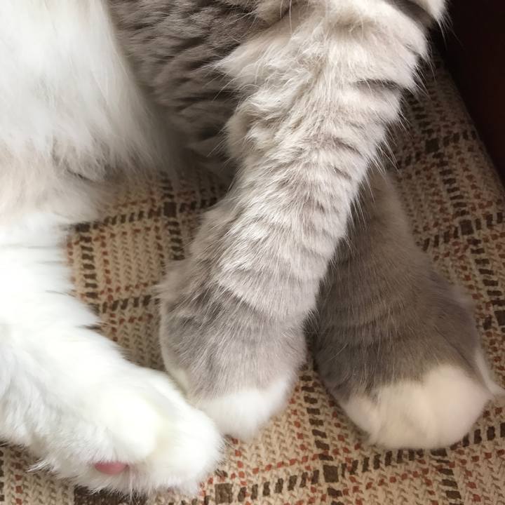 Bc34d9a4 b85b 4c28 80d5 3cac49e8e9b0