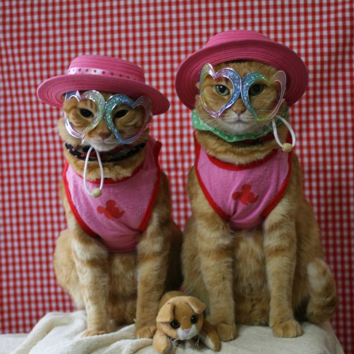 Bc34ed01 40d4 45eb b7ae 44e88803eb56