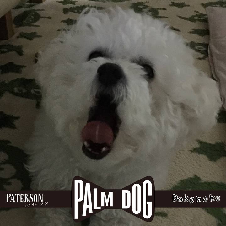 Bc3567af f396 4649 89bf 154cefec13ce