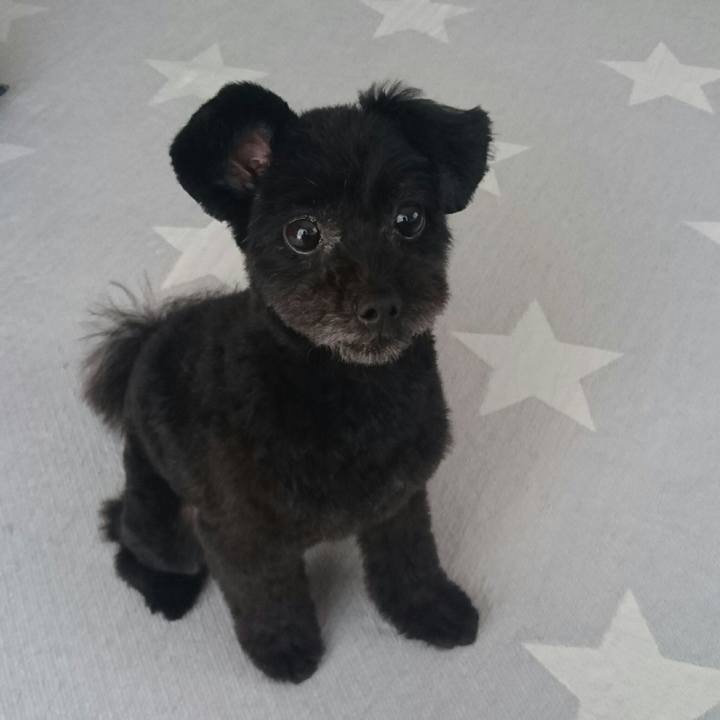 Bc358ac3 2273 4758 9253 0dcfca0124b2