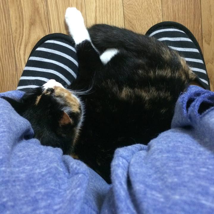 Bc35ead8 530d 4512 bfa8 1ce3cba1b800