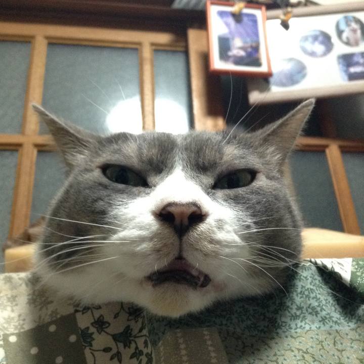 Bc35eb3b c030 459a b8f1 9de9791fa925