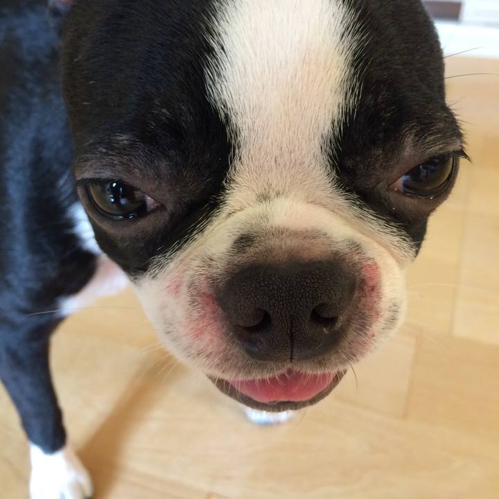 Bc35f769 ae28 4905 80b0 3b79065232b7