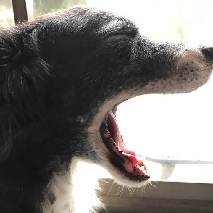 Bc362c68 2de2 4577 a2b9 47c28ac0dd7f