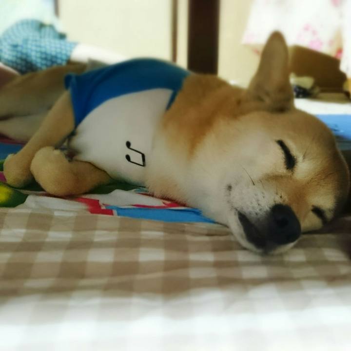 Bc363f81 3b8c 4f30 ae2a 28f0107d5c92