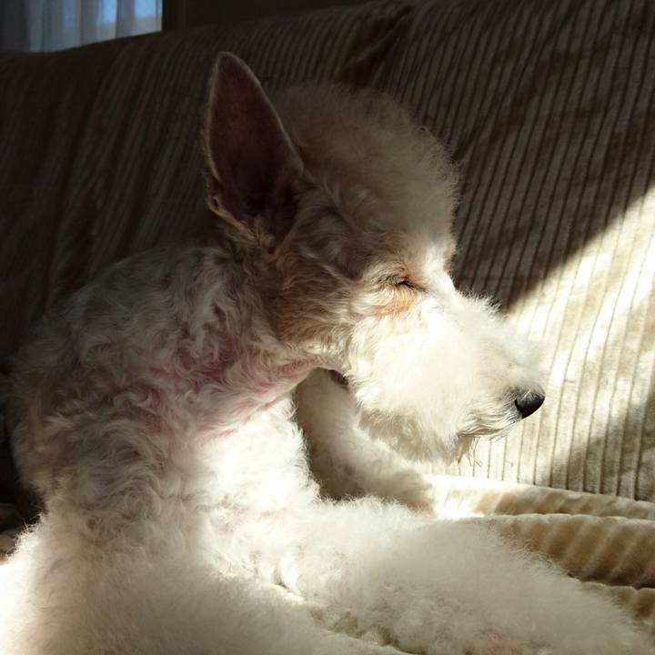 Bc368f74 3956 4c0a afd8 d5273b9271ac