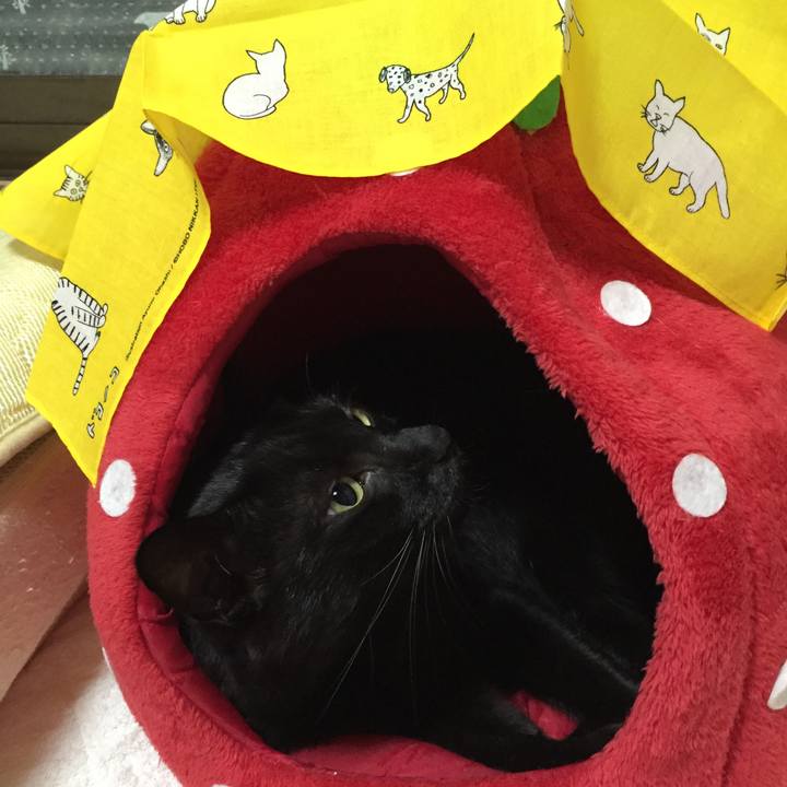 Bc372274 d9c0 4867 b18c a54e48ea236b