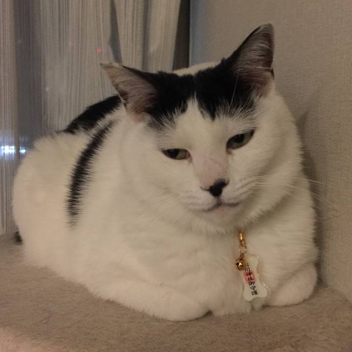 Bc37a278 4463 4d63 852b dc954a26adde