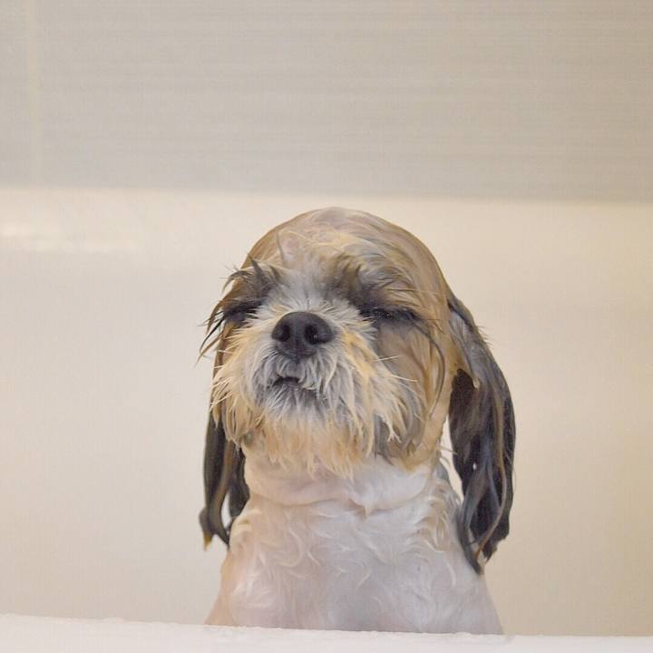 Bc37d720 e926 41ab b4bb d0a4e1935ab8