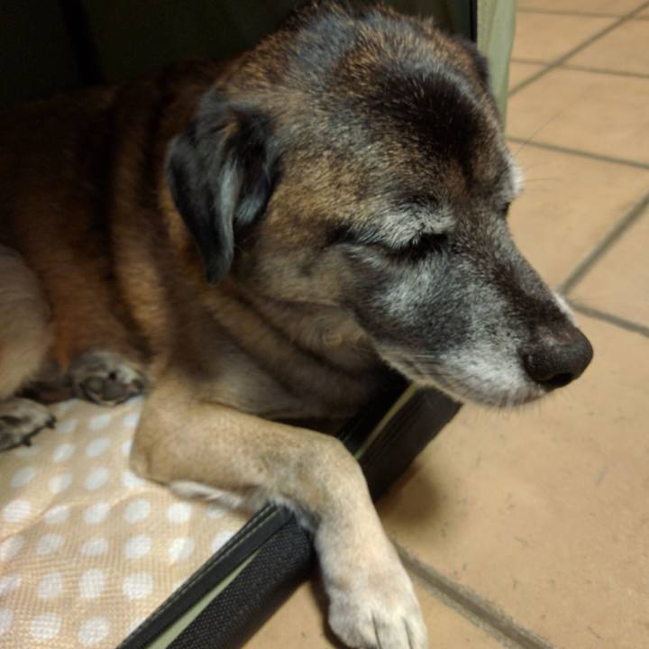 Bc37f93f 66c2 47ae af2f 27ed74c15985