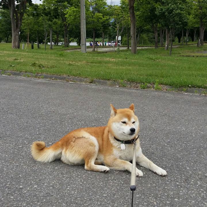 Bc381ec4 5f60 4ae6 a17d f74565583fd3