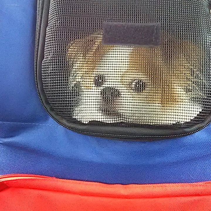 Bc38e9fa 4efe 4836 91a5 687d8c6c8862