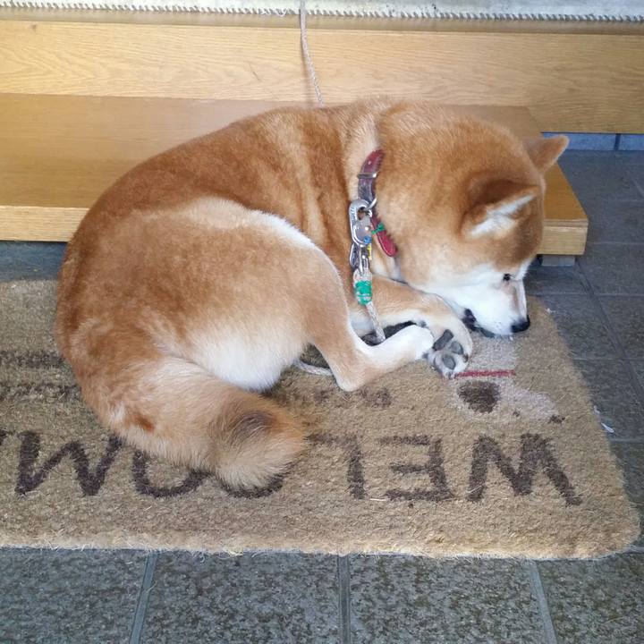 Bc394e0c 80c5 4f31 aa09 b857ffe6d3b4