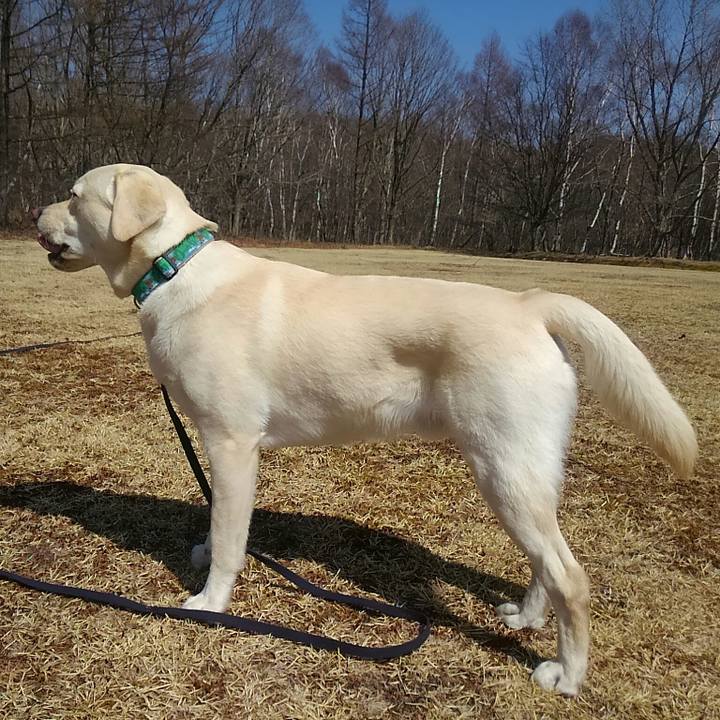 Bc399b50 5105 4dc3 a5ec ecf852b183c6