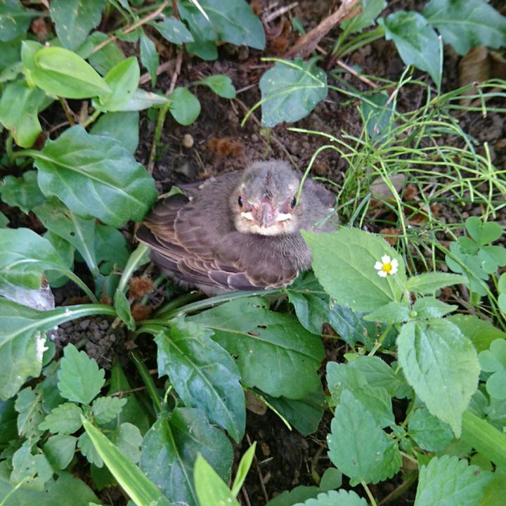 Bc3a2e30 0e5f 4a0c 8c90 3b07ca58c185