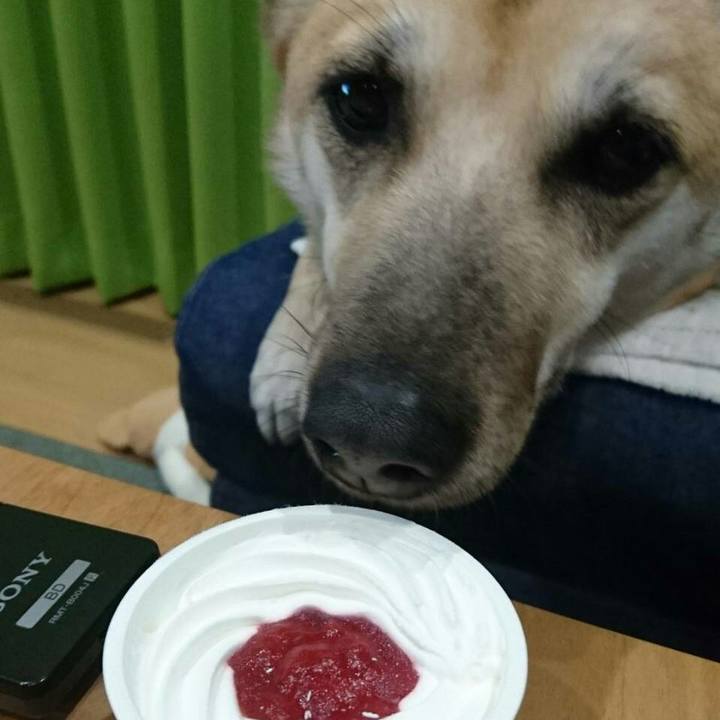 Bc3a487b b15e 43c6 bc3d 902ed5696656