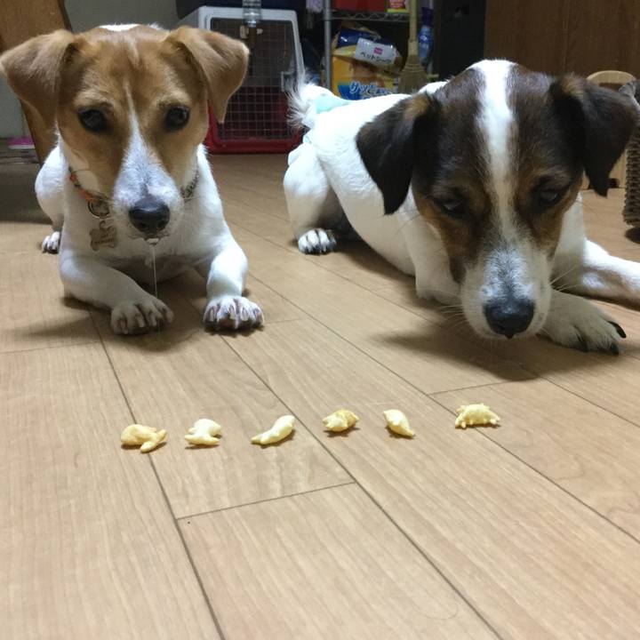 Bc3ae1b0 c961 46f6 a62a 4b3cee73b4d6