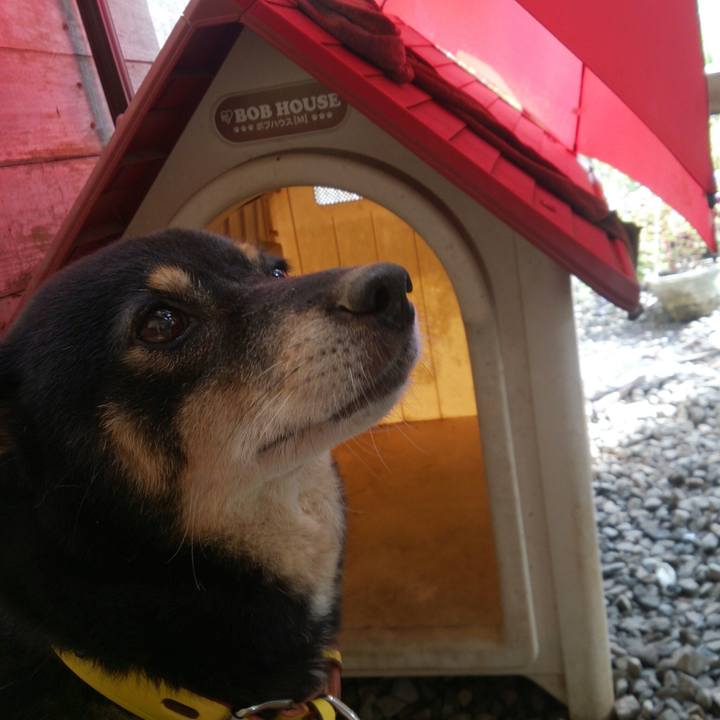 Bc3b242b 3a00 4734 86e2 085950c2e286