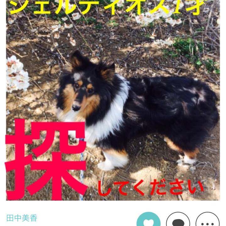 Bc3b54ed d71f 4154 8223 5a8a973bba84