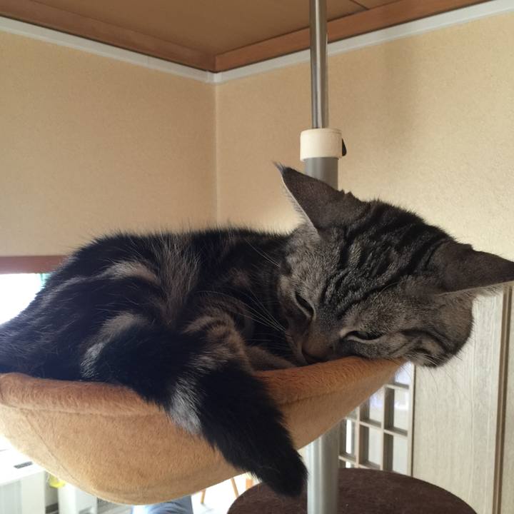 Bc3c26d1 6c56 4300 b512 d09dd0fa5bb4