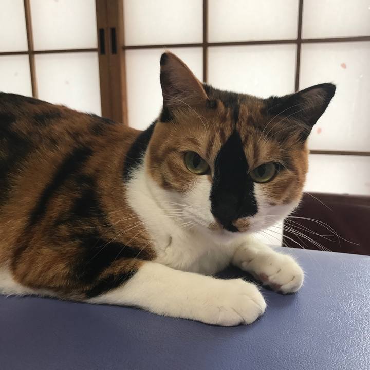 Bc3c9bdc 5332 45a1 9282 2883f9cf62ae