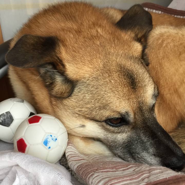 Bc3c9f35 b037 4b2c b9cf 8c78d7b427fc