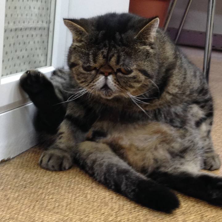 Bc3cc6f5 b93a 4211 aeca c926e4e218f5